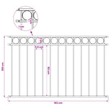 Fence Panel "Assen" Steel 163x100 cm Black