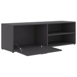 TV Cabinet Grey 120x34x37 cm Engineered Wood - Rear View