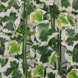 Artificial Ivy Bushes 4 pcs Variegated 90 cm - Side View