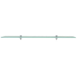 Floating Shelves 2 pcs Glass 100x10 cm 8 mm