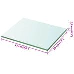 Shelves 2 pcs Panel Glass Clear 20x25 cm