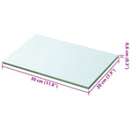 Shelves 2 pcs Panel Glass Clear 20x30 cm