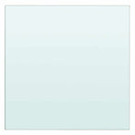 Shelves 2 pcs Panel Glass Clear 30x25 cm