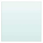 Shelves 2 pcs Panel Glass Clear 30x30 cm