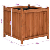Raised Beds 2 pcs 50x50x50 cm Firwood