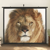 Projection Screen 90