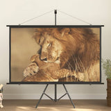Projection Screen 72