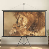 Projection Screen 90