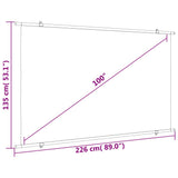Projection Screen 100