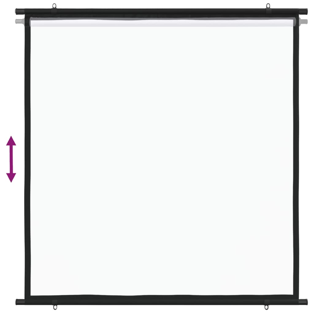 Projection Screen 170.1 cm 1:1