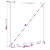 Projection Screen 170.1 cm 1:1