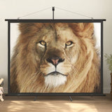 Projection Screen with Tripod 84