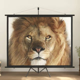 Projection Screen with Tripod 100