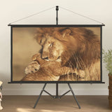 Projection Screen with Tripod 60