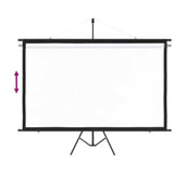 Projection Screen with Tripod 100