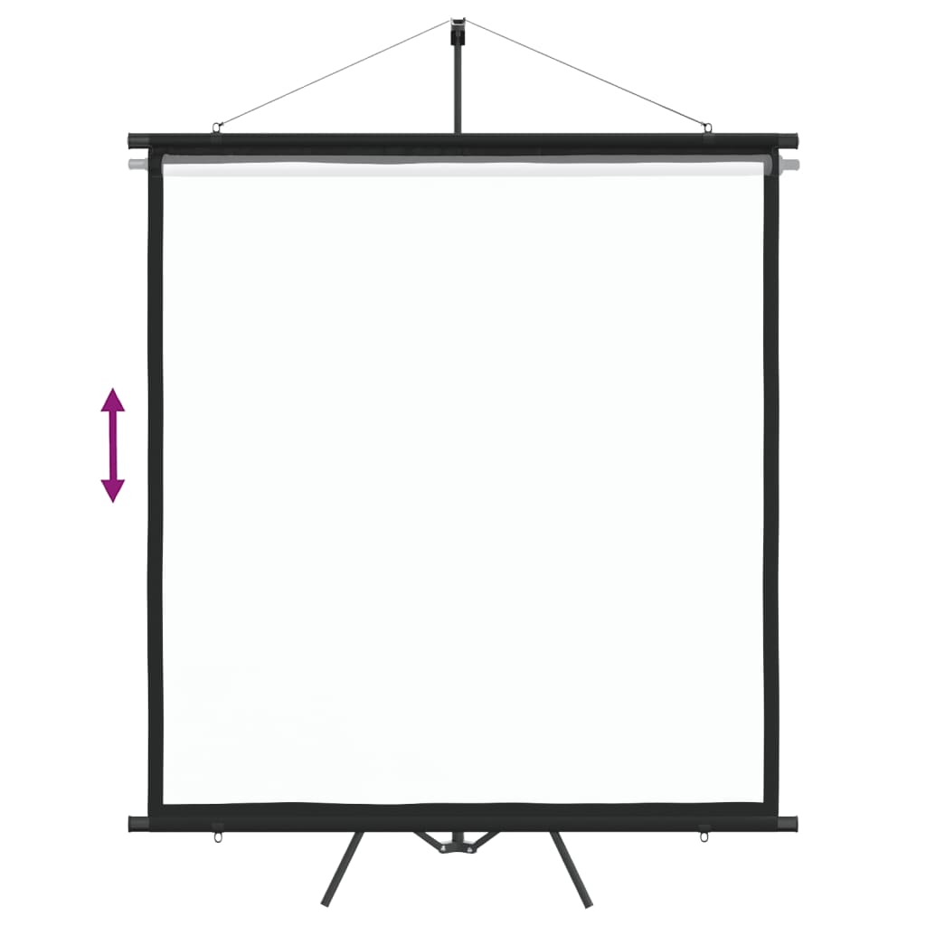 Projection Screen with Tripod 205.7 cm 1:1