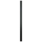 Wall Mirror Black 60 cm