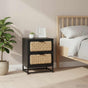 Bedside Cabinet 40x30x50 cm Solid Mango Wood