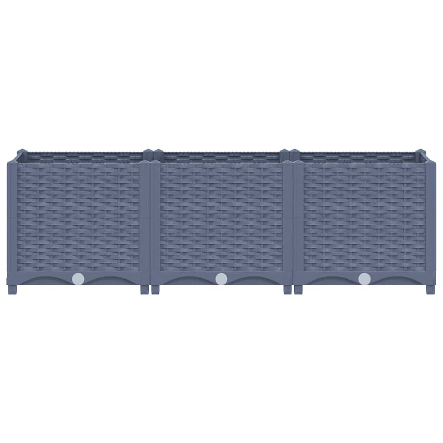 Raised Bed 120x40x38 cm Polypropylene