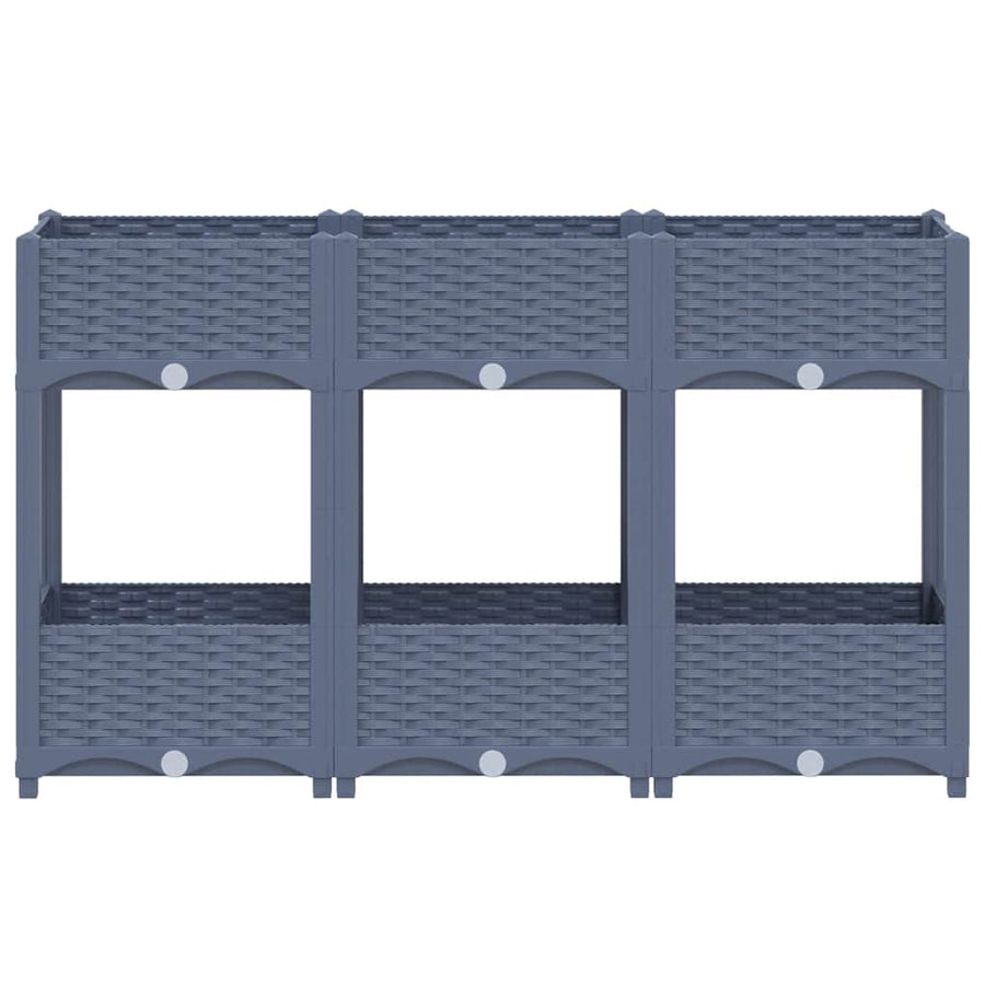 Raised Bed 120x40x71 cm Polypropylene