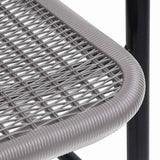 Garden Chairs 2 pcs Plastic Rattan and Steel 110 kg