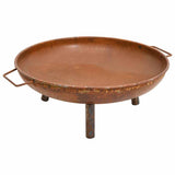 Fire Pit 67.5x58x22.5 cm Steel - Side View