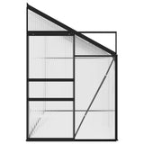 Greenhouse Anthracite Aluminium 7.44 m³ - Top-Down View
