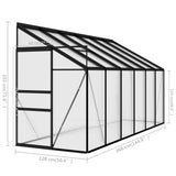 Greenhouse Anthracite Aluminium 7.44 m³ - Extra Image