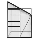 Greenhouse Anthracite Aluminium 5.24 m³ - Top-Down View