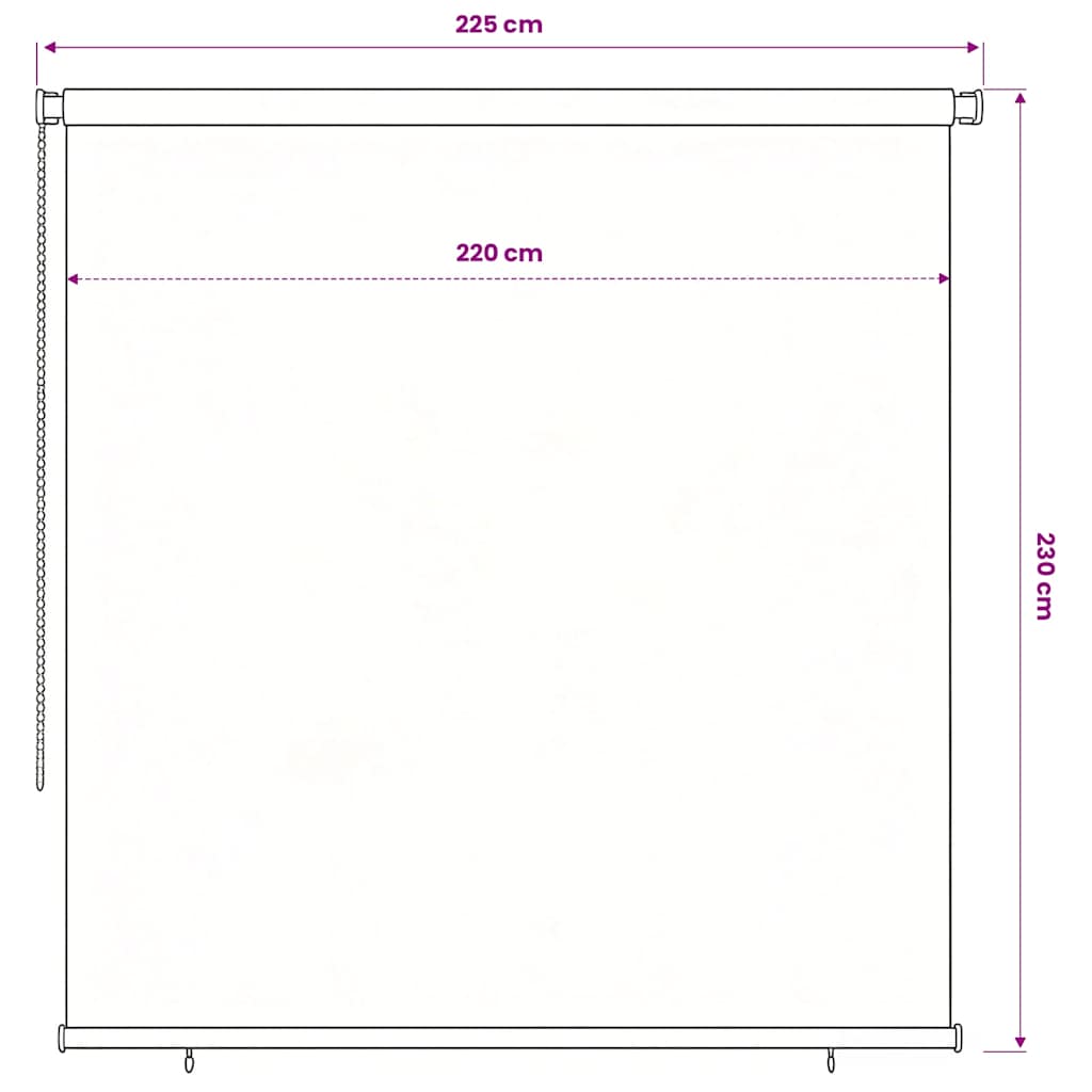 Outdoor Roller Blind 245(W)x230(H) cm Black