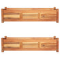 Garden Raised Beds 2 pcs Acacia Wood 100x30x25 cm