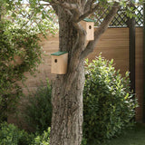 Bird Houses 10 pcs Solid Firwood 12x12x22 cm