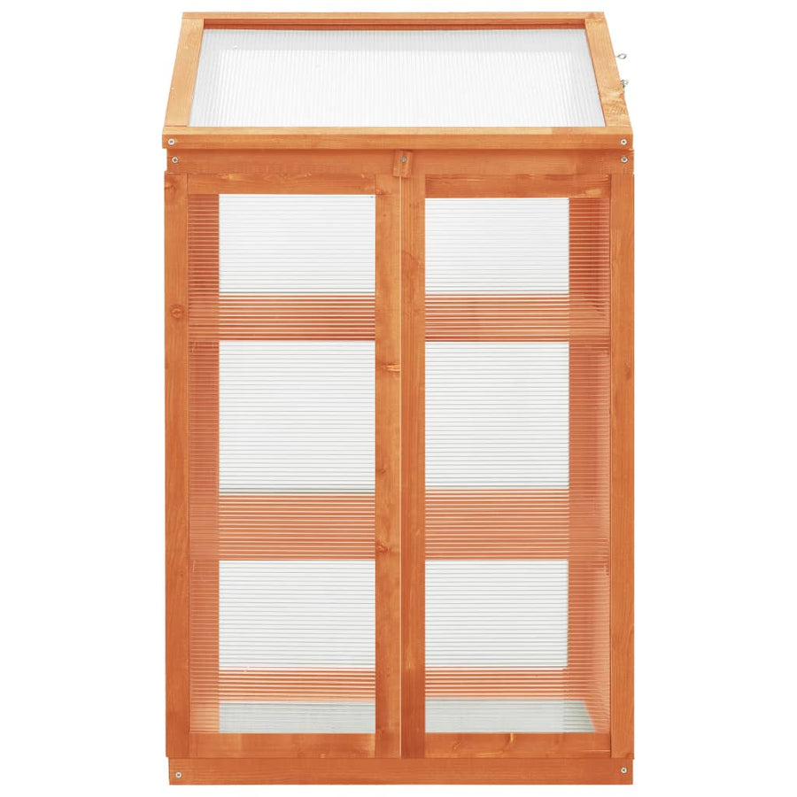 Greenhouse 60x45x100 cm Firwood