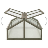 Greenhouse 120x80x50 cm Firwood - Top-Down View