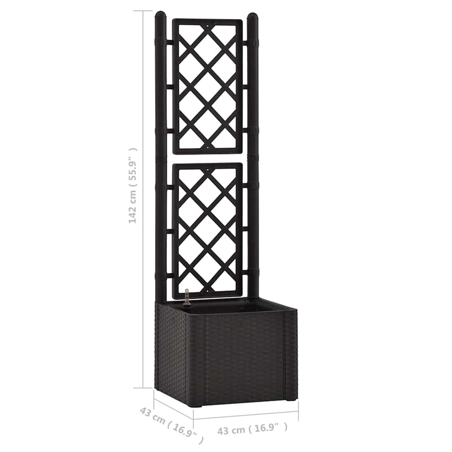 Garden Raised Bed with Trellis&Self Watering System Anthracite