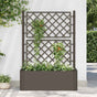 Garden Raised Bed with Trellis and Self Watering System Mocha