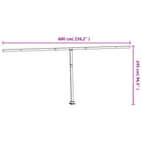 Awning Post Set Anthracite 600x245 cm Iron - Extra Image