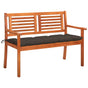 2-Seater Garden Bench with Cushion 120 cm Solid Eucalyptus Wood