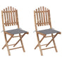 Folding Chairs 2 pcs with Cushions Bamboo