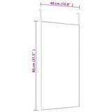Door Mirror Black 40x80 cm Glass and Aluminium