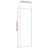 Door Mirror Black 40x100 cm Glass and Aluminium