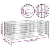 Dog Kennel Black 200x100x70 cm Steel