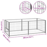 Dog Kennel Silver 200x100x70 cm Steel - 45-Degree Angle