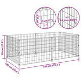Dog Kennel Silver 200x100x70 cm Steel