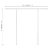 Manual Retractable Awning with Posts 3x2,5 m Blue and White - Extra Image