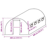 Greenhouse Replacement Cover (16 m²) 400x400x200 cm Green - 45-Degree Angle
