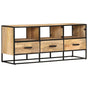 TV Cabinet 110x30x45 cm Rough Mango Wood