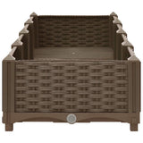 Raised Bed 160x40x23 cm Polypropylene - 45-Degree Angle