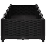 Raised Bed 160x40x23 cm Polypropylene