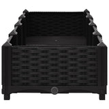 Raised Bed 160x40x23 cm Polypropylene - 45-Degree Angle